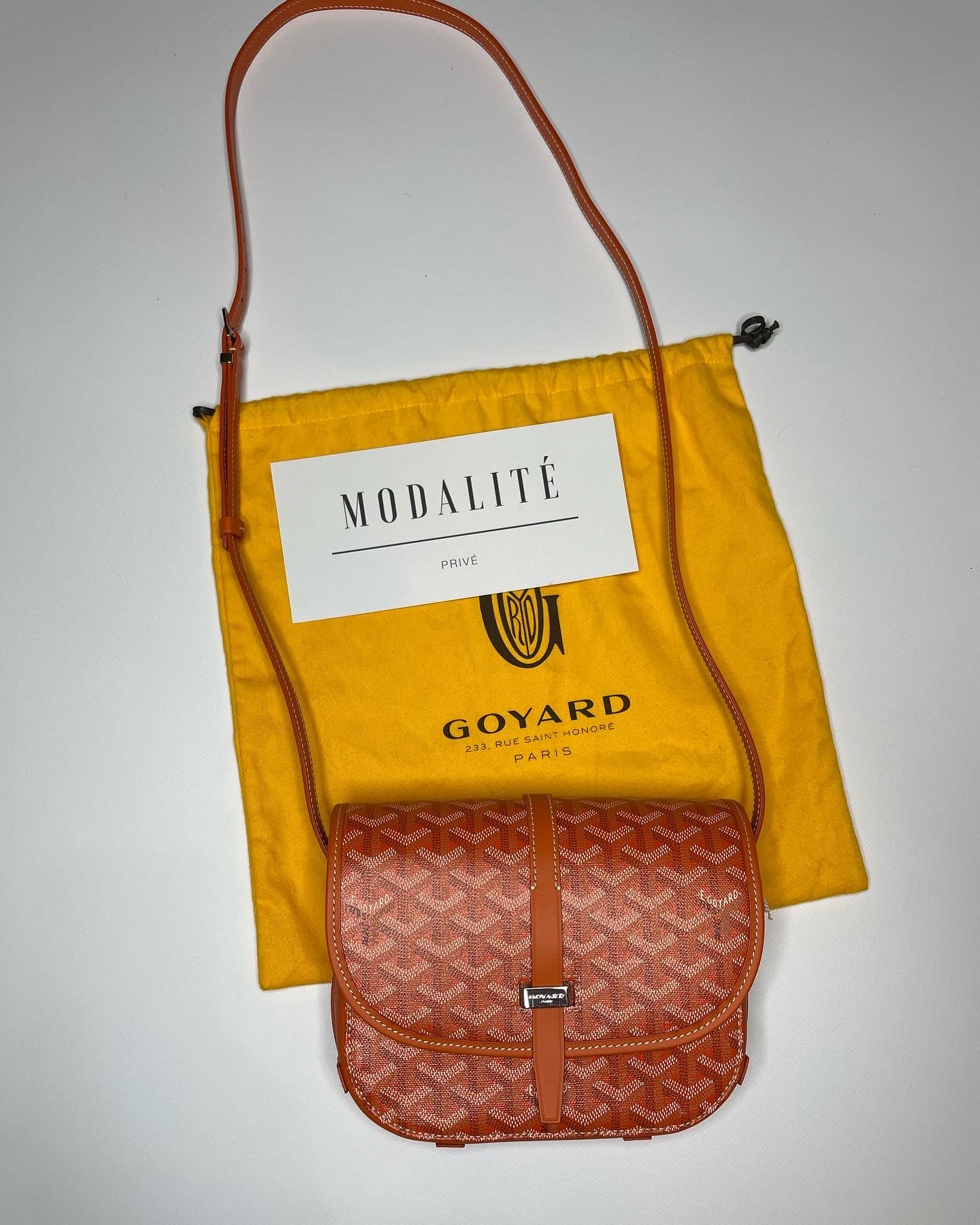 Goyard Belvedere PM bag – Modalite Prive